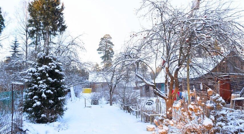 ��� ��������� ��� � ������������ �� ����������� �������