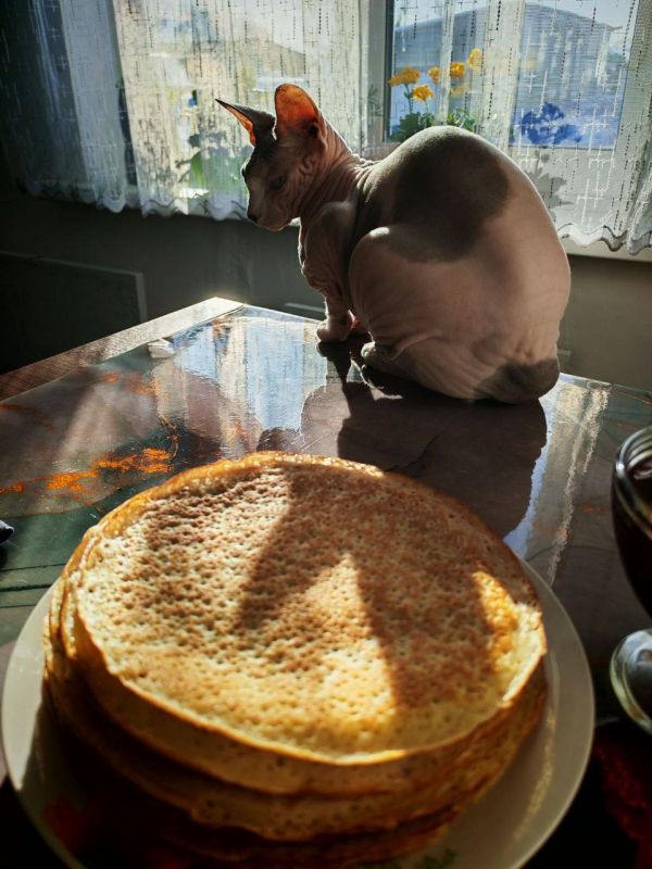 ����� � ������ �������� ���������