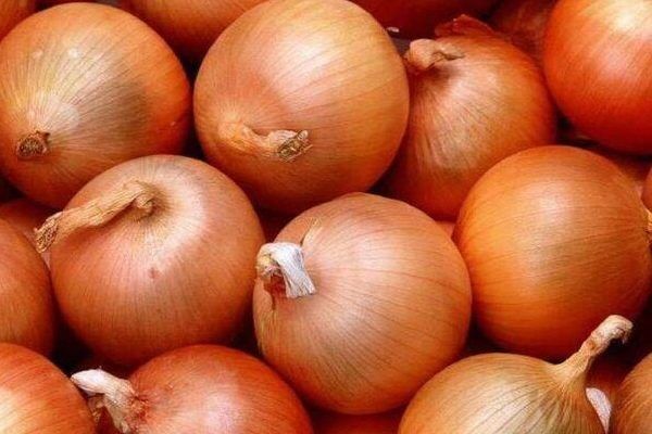 ��� �����: ��� ������� ��������� ����������� � �� ������