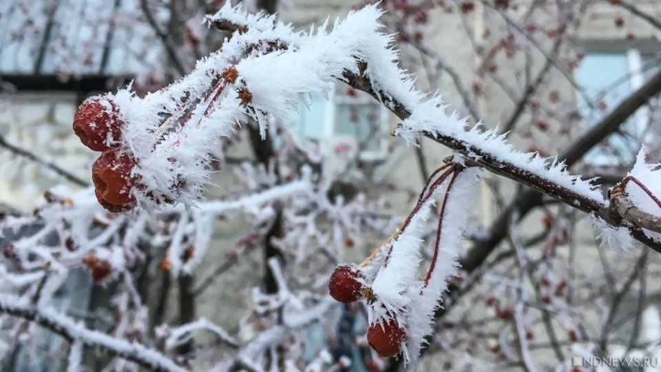 ������ ������������ ����� � ������ � ��������� ����� ��� ������������?