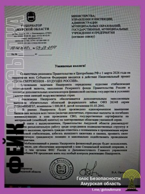 Амурчан напугали фейком о замене банковских вкладов и маткапитала на гособлигации