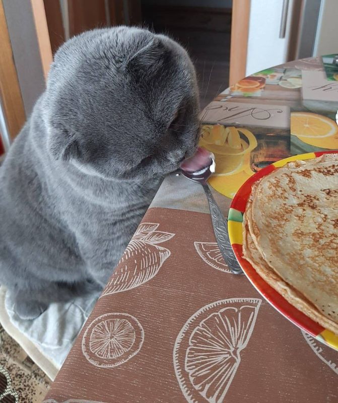 ���������� ���������?. �� �