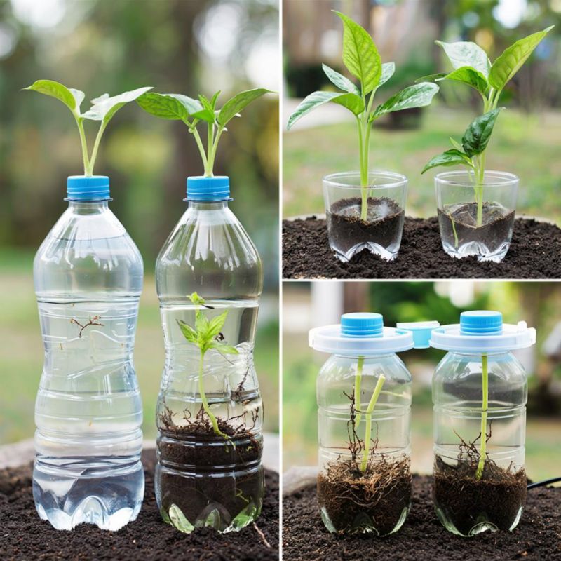 ���-���������: ������� ������� ��� ���������� ���������