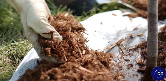 ������ � ����� �� ���������: ��� ����� ����� ������� ��������