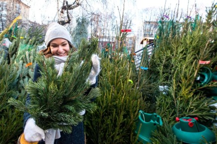 ��� ������� �������� ���������� ���� ��� ���������?