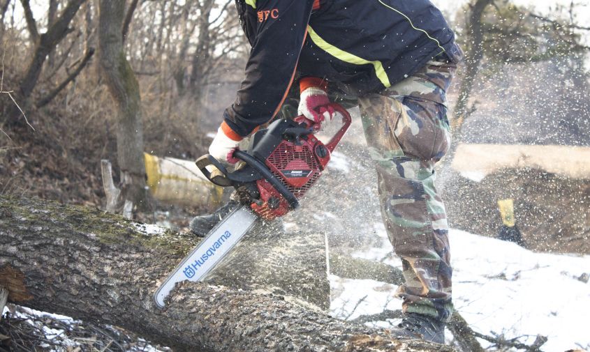 ���������� ��������� ������ �� ����� ��� �����������, �� ��� ����� �������� �������