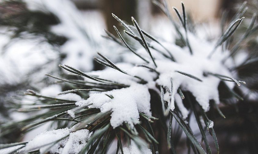 ������� ����� � ����: � ������������� ����� ����� ���������� ����������