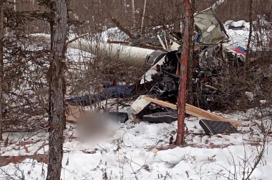 � ���������� ������ �������� ����������� �����