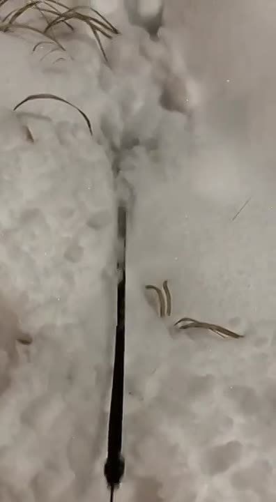 ������ ����!�. ���� ����������� �� �������� �������� �����