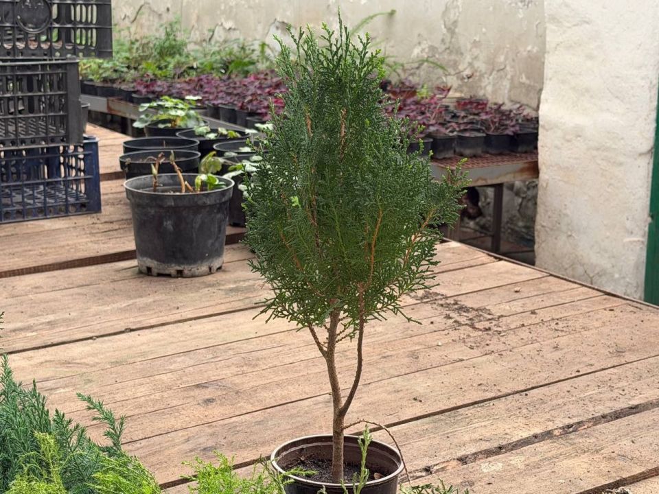 �������� ���� ������� ��� � �����