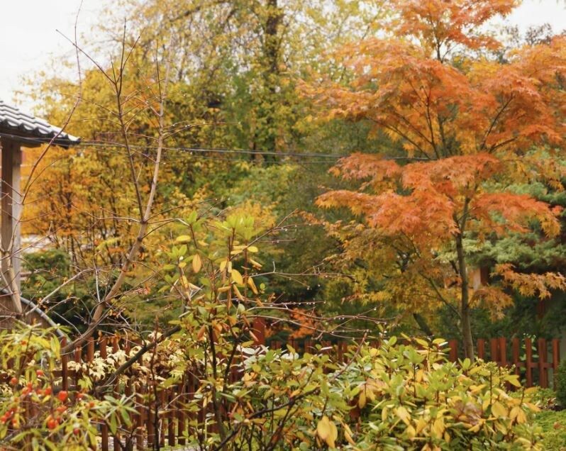 ������� � ����: 15 ����������� ����� ��� ���������� ������