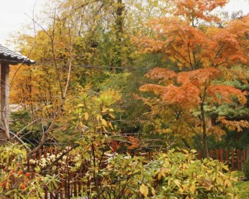 ������� � ����: 15 ����������� ����� ��� ���������� ������