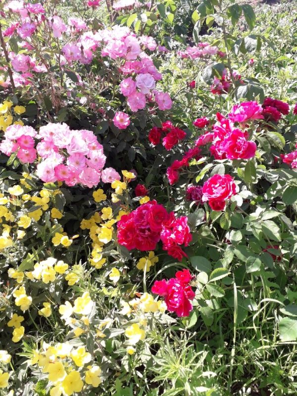 ����������� ������� ������ � ���� ��� �����