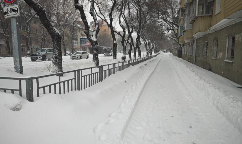 ������� ������ � �������� ������� �� 23 �������