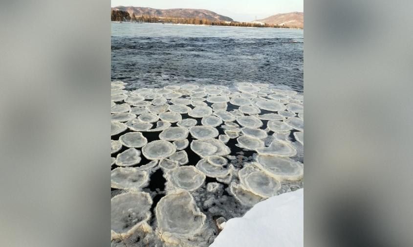 � ������� ������ ������� �������� ������ � ���������