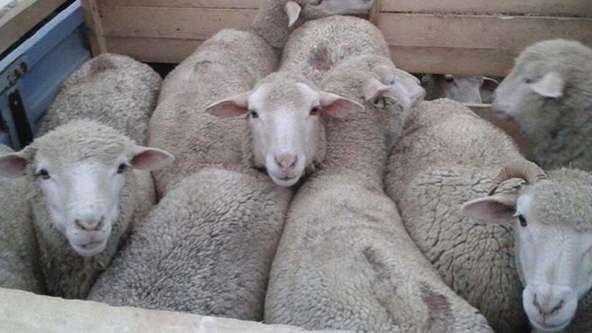 ������ ������������� ������ ������� ������ � ������ ������ ������