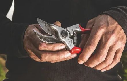 ��� ������� ������� ��������, �� ������� ����