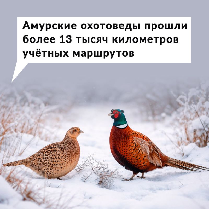 ����� ���������� � ������� 15 ������ � ������ ����������� �� 15 �����