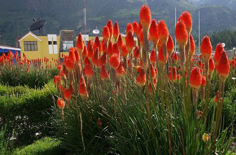 9 ������������ �������������, ������� ������� ����� ��������� ���