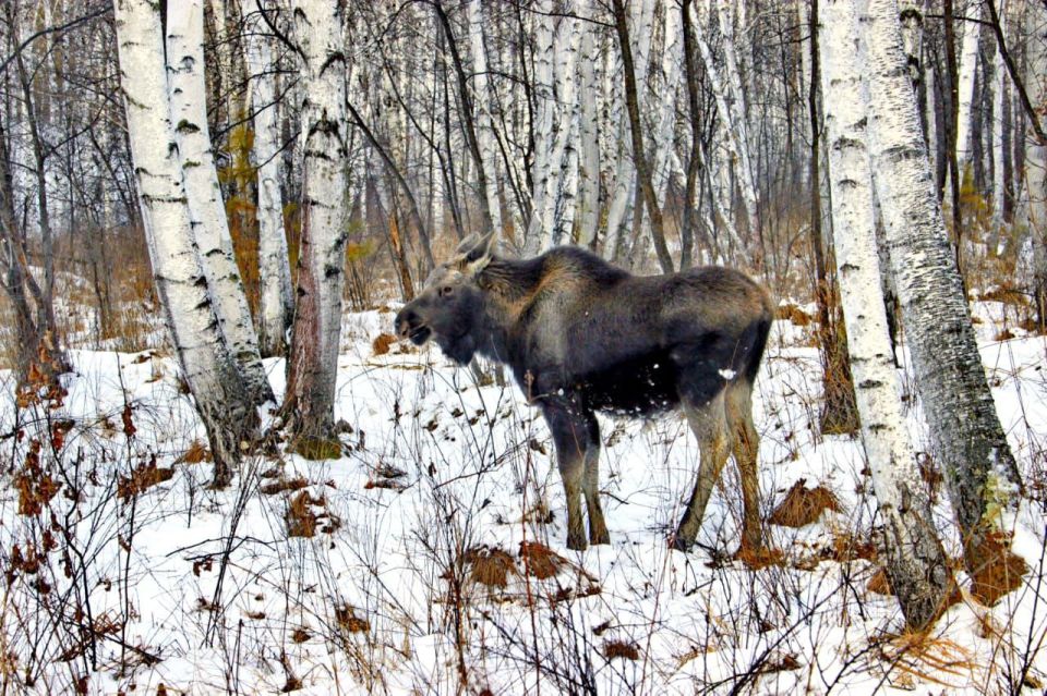 ������� ���� ������������ �������� ��������� ������ �������� ��������� �� ������ ���������� ����� ���������