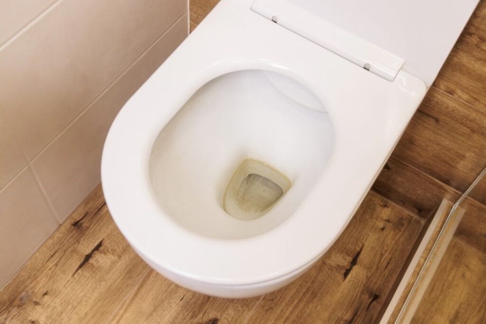 ������ �� �������� ����� � �������: ������� ������� ��� �������