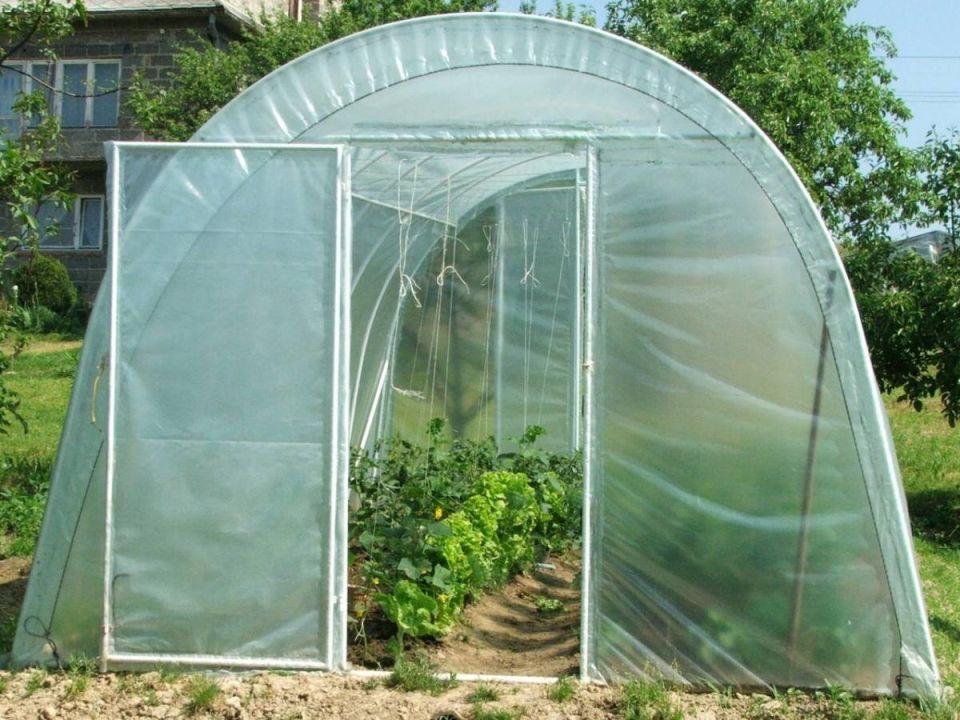 ������� ����� ������: ��� �������� ���������� ��������� ������