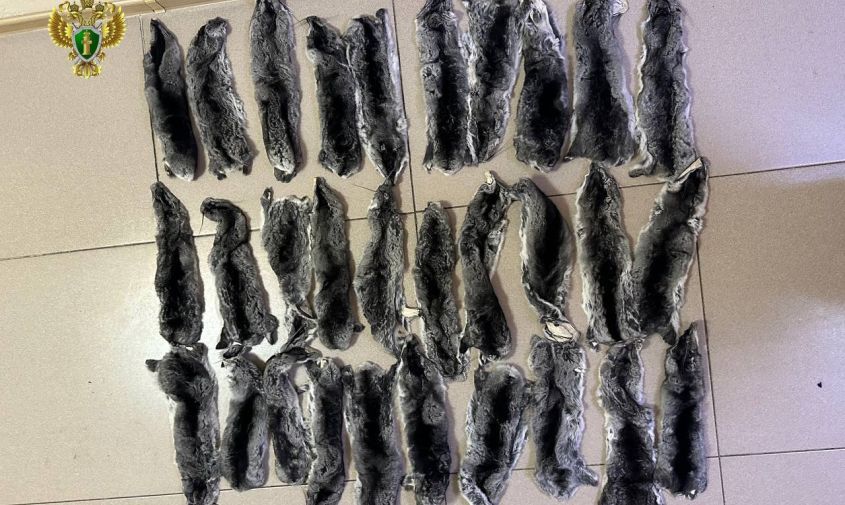 �� �������� ������� ���������� ������� �� ����������� ����� 1 000 ������ ������ � ��������