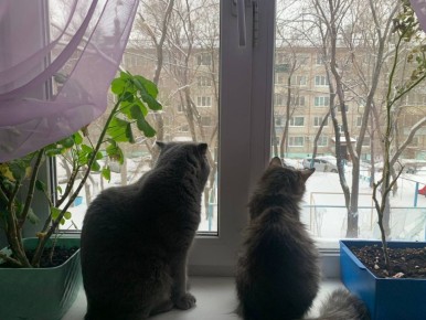 А ведь на этой неделе уже весна…