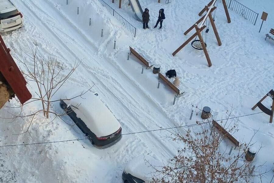 � ��������� ������ ���������� ����������� �� ���������� ��������� �� ����� �����