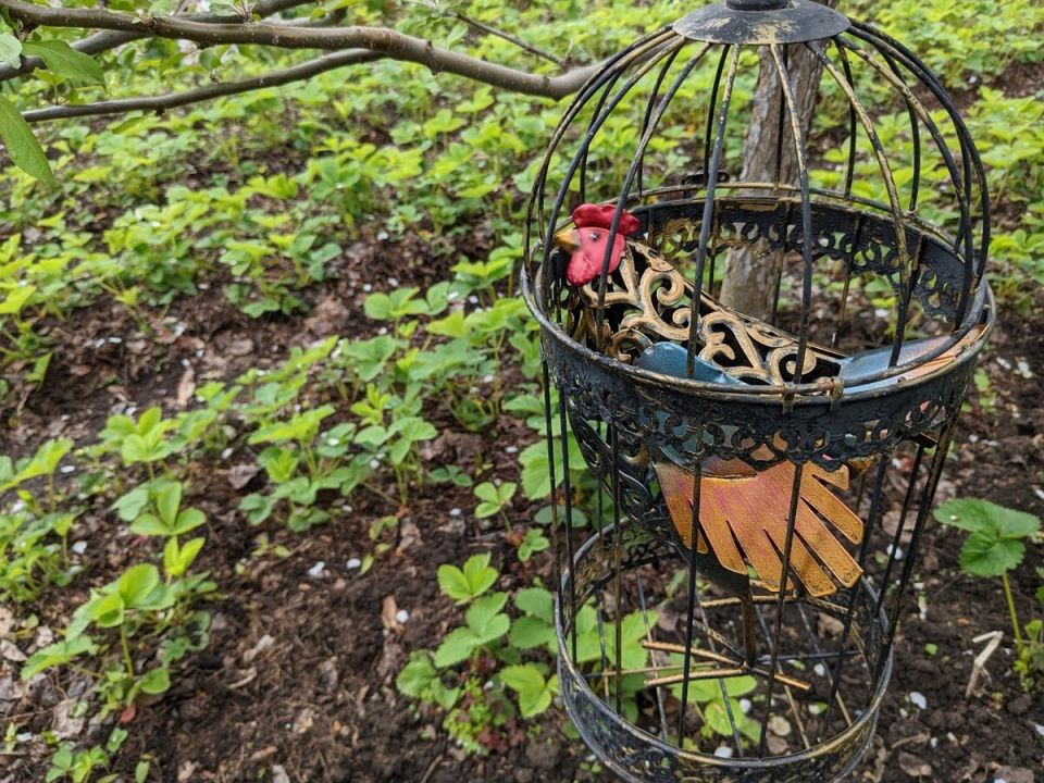 ���� ��� ��������: ��� ��������� �������?