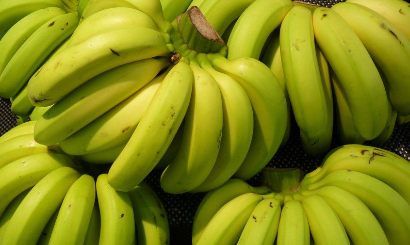 �������� � �����������: � 1 ����� ������ ����������� ����� ���� �� ������