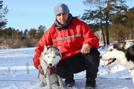 ��������� ������� �������� �����: ������ ���������� � ��� ����� ����� ������������ �������� ������������������ �������