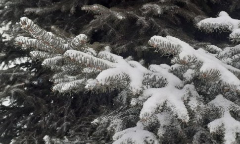 ����������� ������: ������� ����� �� ����� � �������, ��� � �������� ��������, �� �������� � ��������� �������