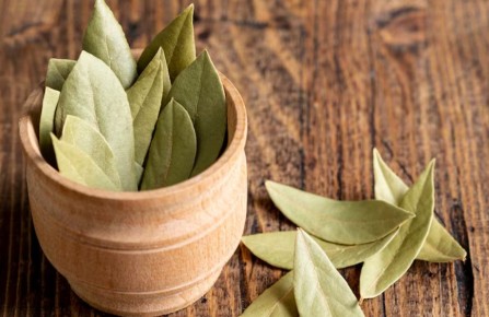 �������� ����: �� ����� �� ����������� ���������