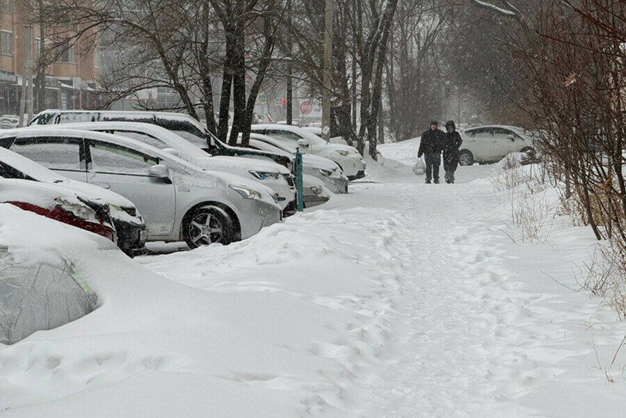 � ��������� ������ ������� ��������, �������, �� ��������� ����������, �������� �������� ������, ������������ � �������� ������