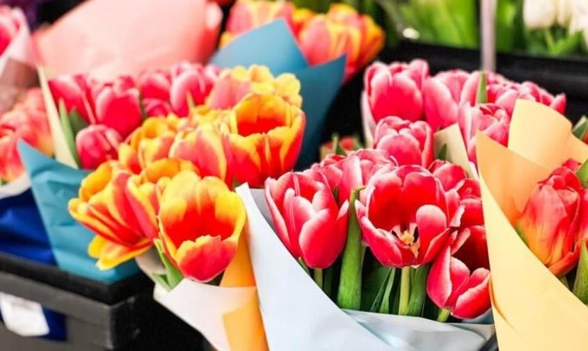 �� ���������� ����� 8 ����� � � ��� �������� ������� ����� �� ������ ���������� ������� ������