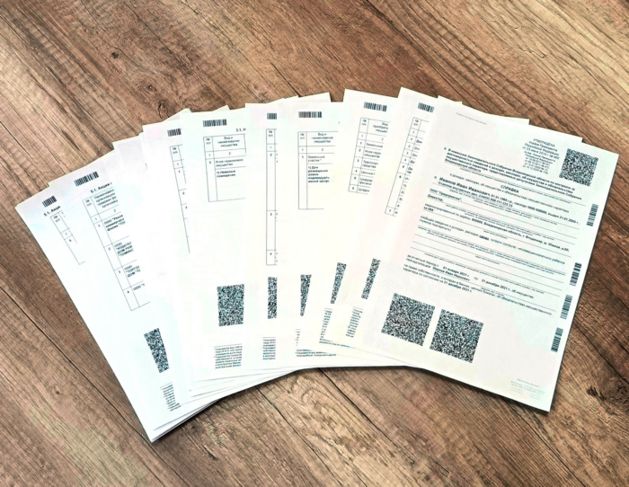 Отмена деклараций: политика на грани репутационных потерь