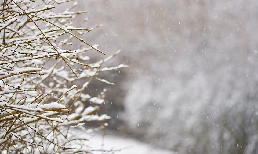 � ������������� ����� ���������� ���������� �������� �� 27 �������