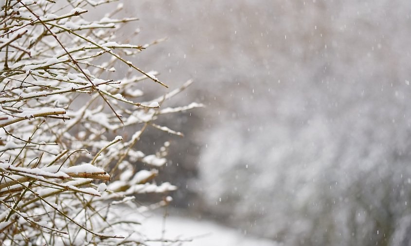 В Благовещенске режим повышенной готовности продлили до 27 февраля