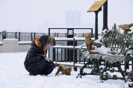 ������ ������ � ���� ������ � ��������: ����� ������ ����� ��������� �� ���� ������