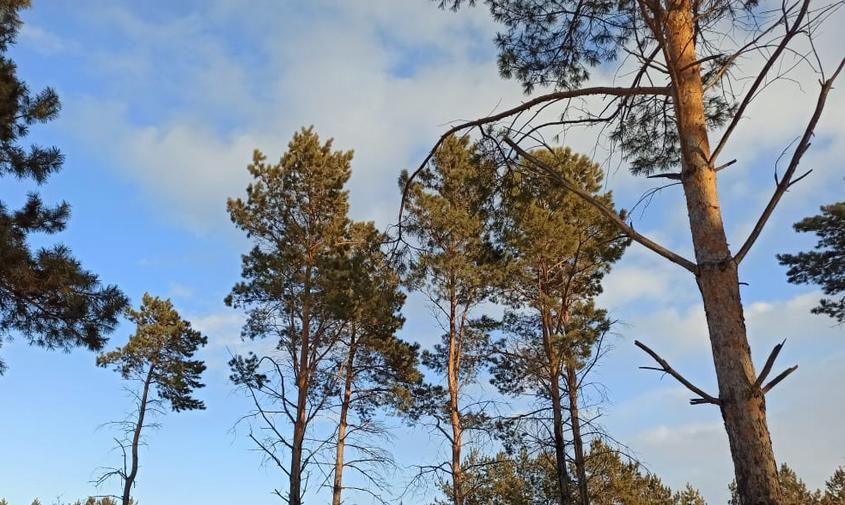 �������� ������ � �������� ������� �� 26 �������