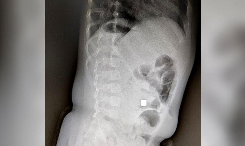 ������ ���� �������: ��������� �������� ��� ���� �������� �� ������������ ����, ��������� ��������� ������