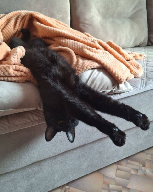 �������� ���������. ���� �� ��������� @ampravda