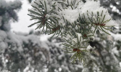 В Белогорске рассматривают вопрос о введении ЧС из-за снегопада, в школах введено свободное посещение