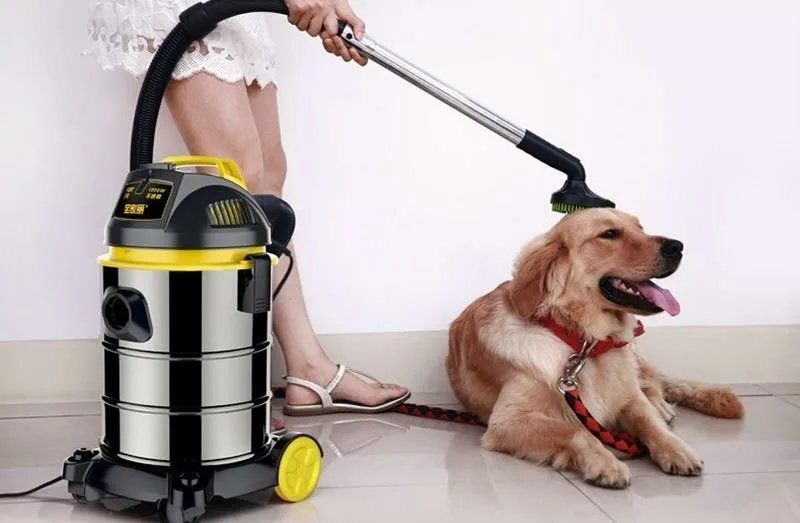 ����� �������� ��� ������ ��������: ��� ������� ������ ��� �����