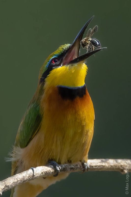 �� �� ��� �� ��������, �� ����������