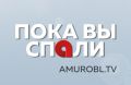 Амурским родителям рассказали о полезных функциях приложения «Госуслуги Моя школа»