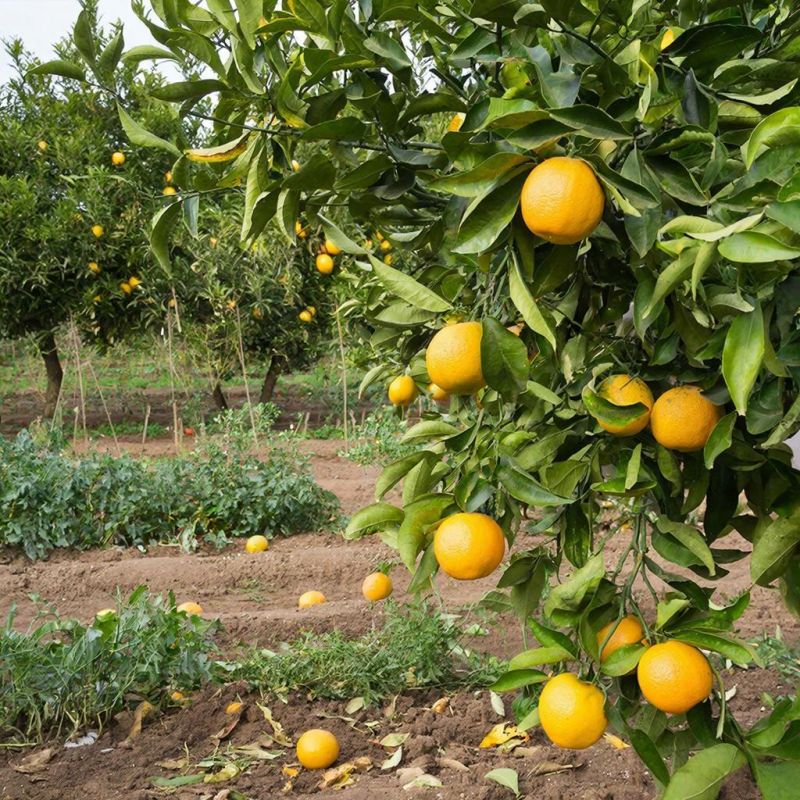 ��������� � ������� ������: ��� ������� ���������� ��� � ���� � ����