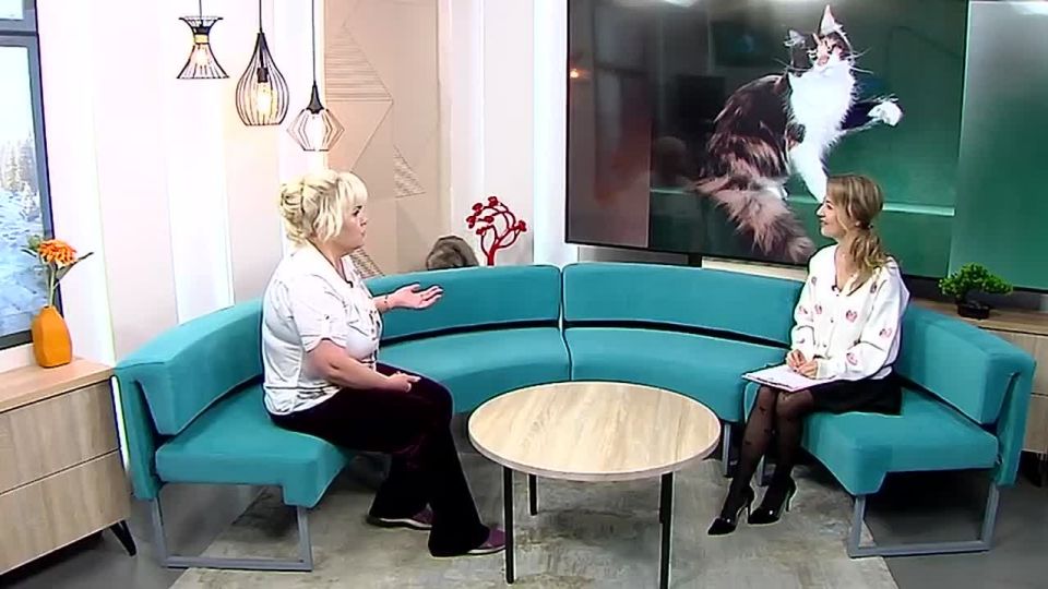 � ������ ����� ������ ����-��� ���� ��������