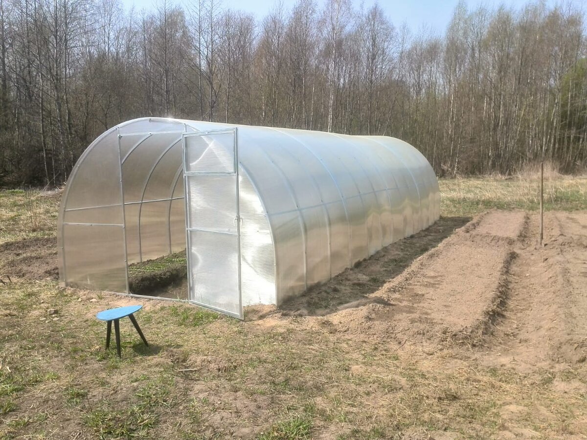 Секреты осенней обработки теплицы: как защитить урожай от вредителей